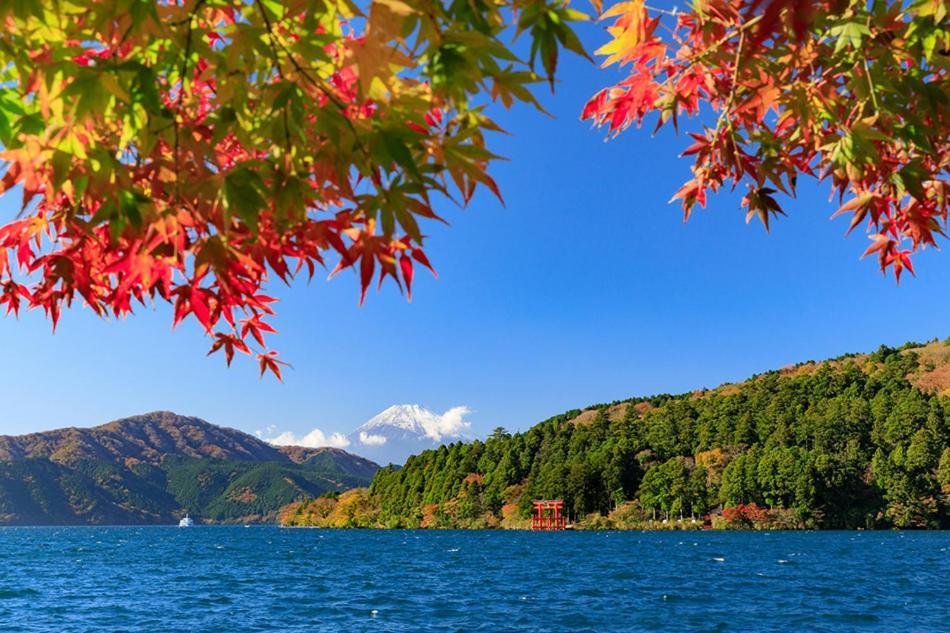 New Open『天然温泉』芦ノ湖畔の完全貸切別荘 Hakone Eksteriør billede